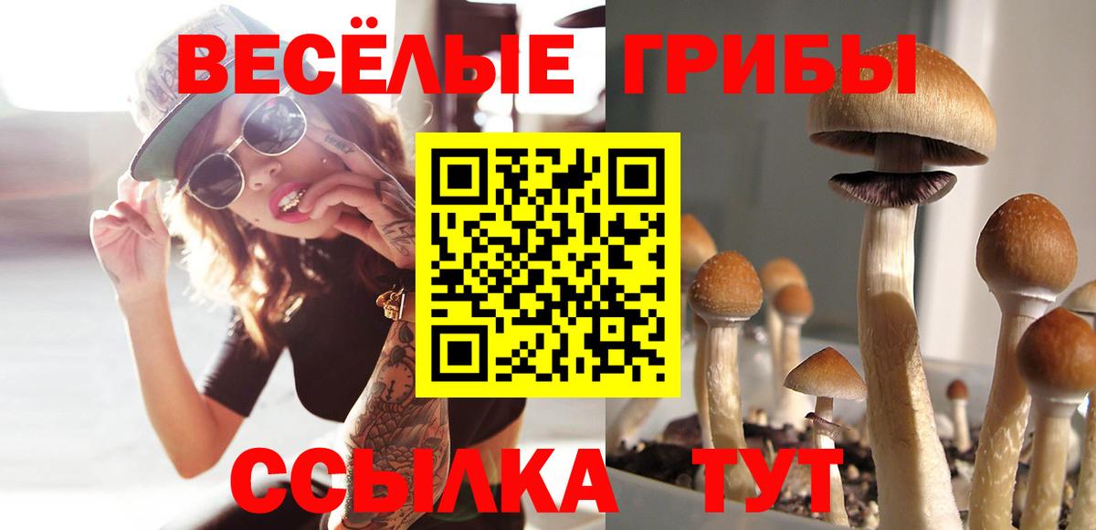 Галлюциногенные грибы ЛСД  Вход с VPN  Жигулёвск 